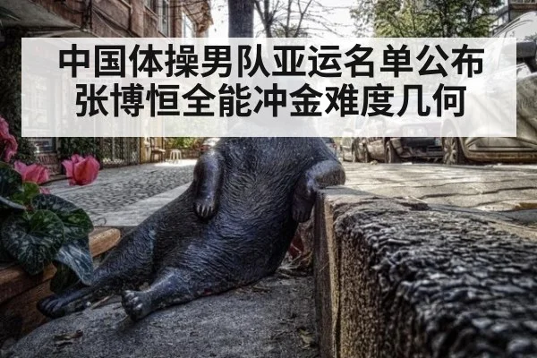 中国体操男队亚运名单公布 张博恒全能冲金难度几何
